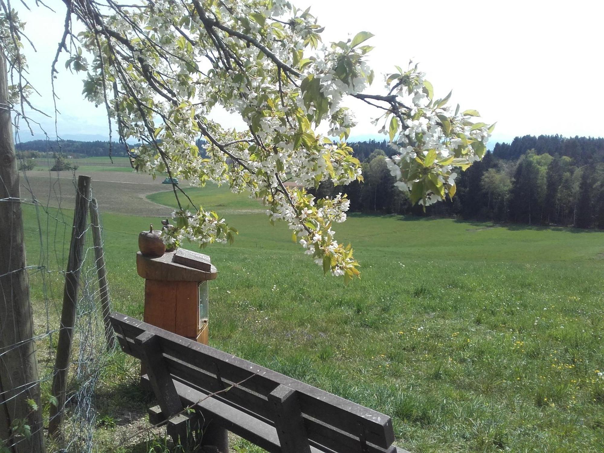 Ferienhof Metzler Bodnegg Dış mekan fotoğraf