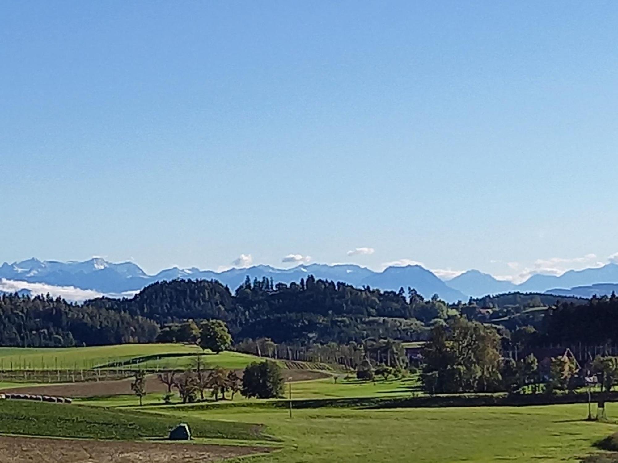 Ferienhof Metzler Bodnegg Dış mekan fotoğraf