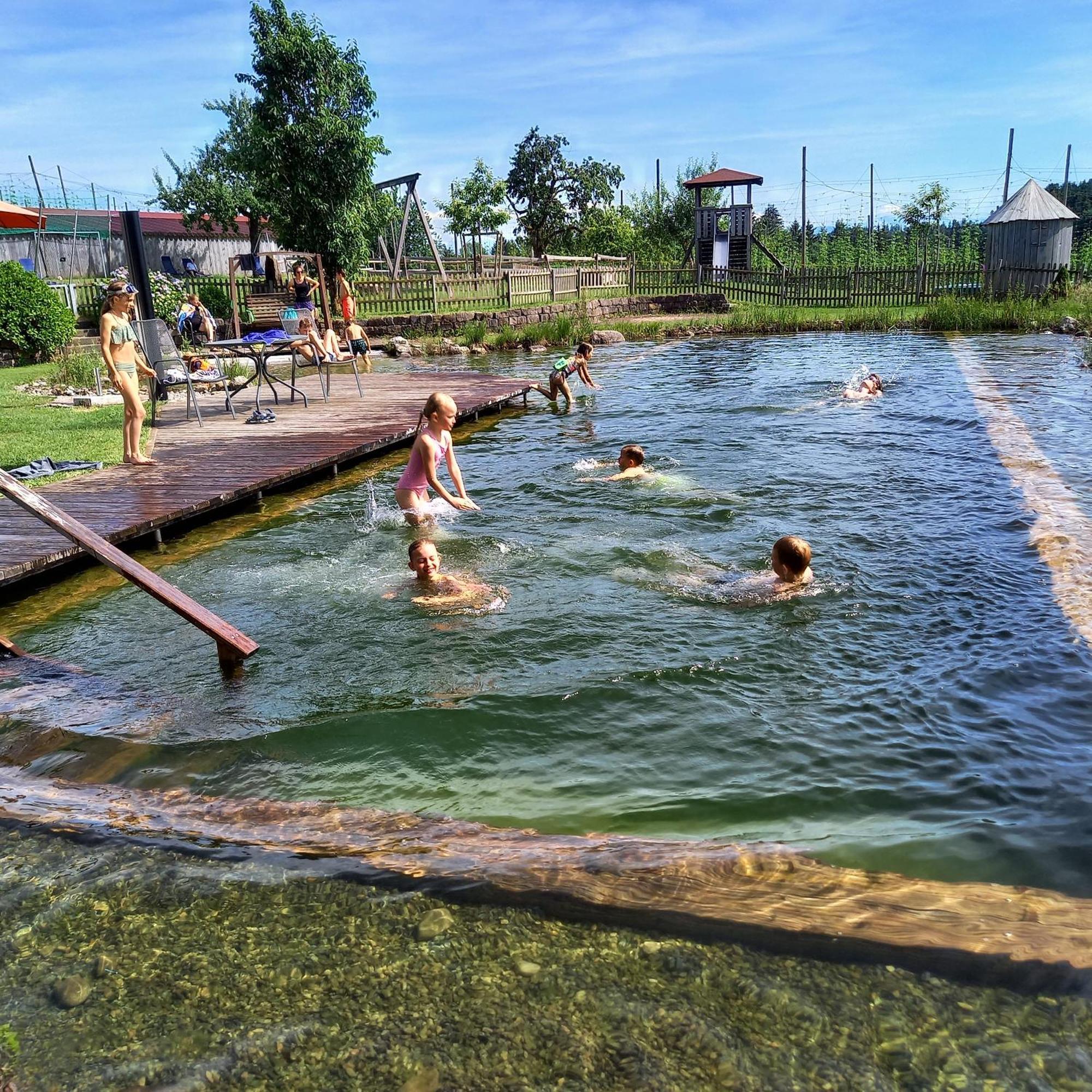 Ferienhof Metzler Bodnegg Dış mekan fotoğraf